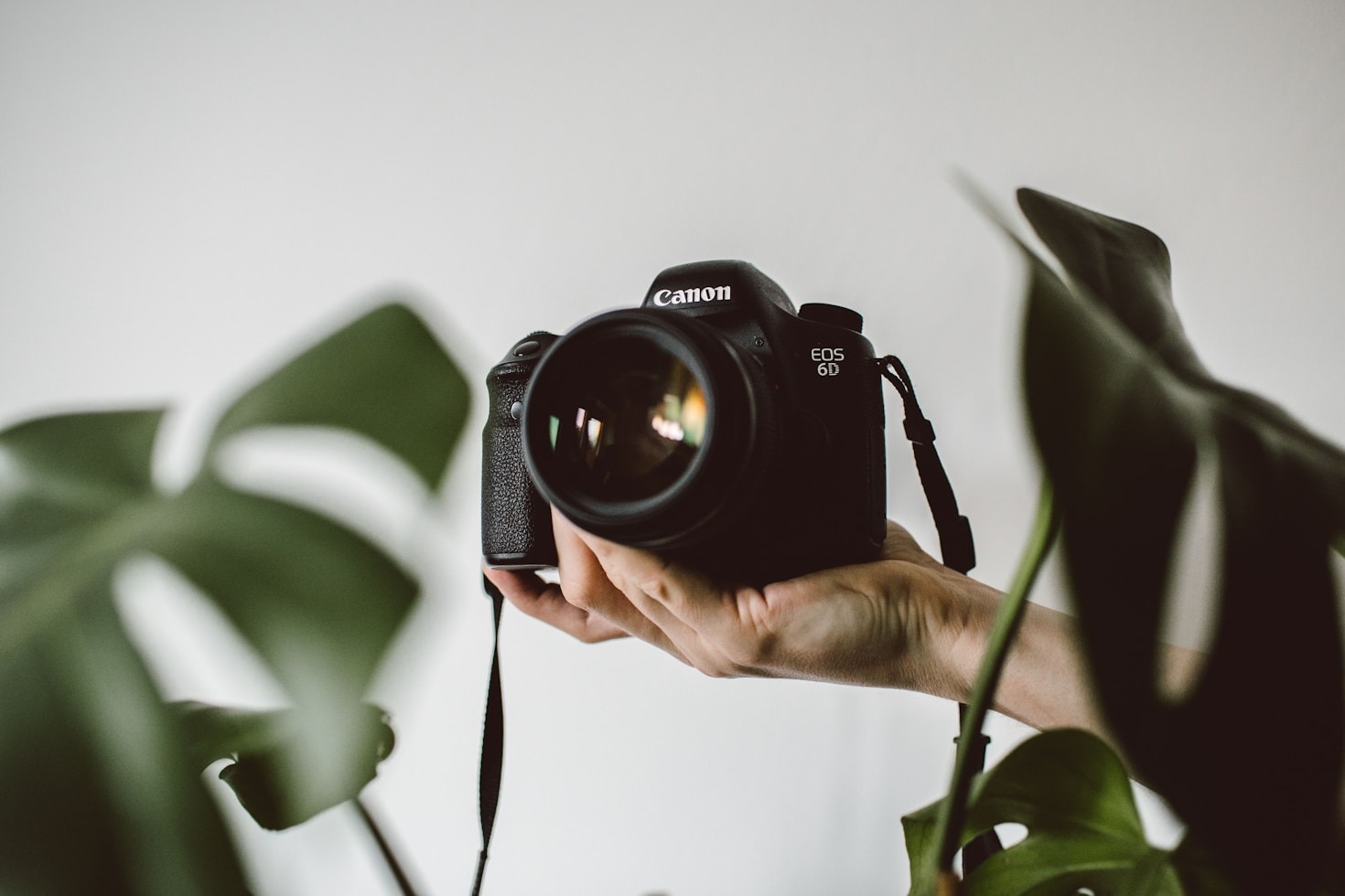 Ottimizzazione SEO per Fotografi Creativi